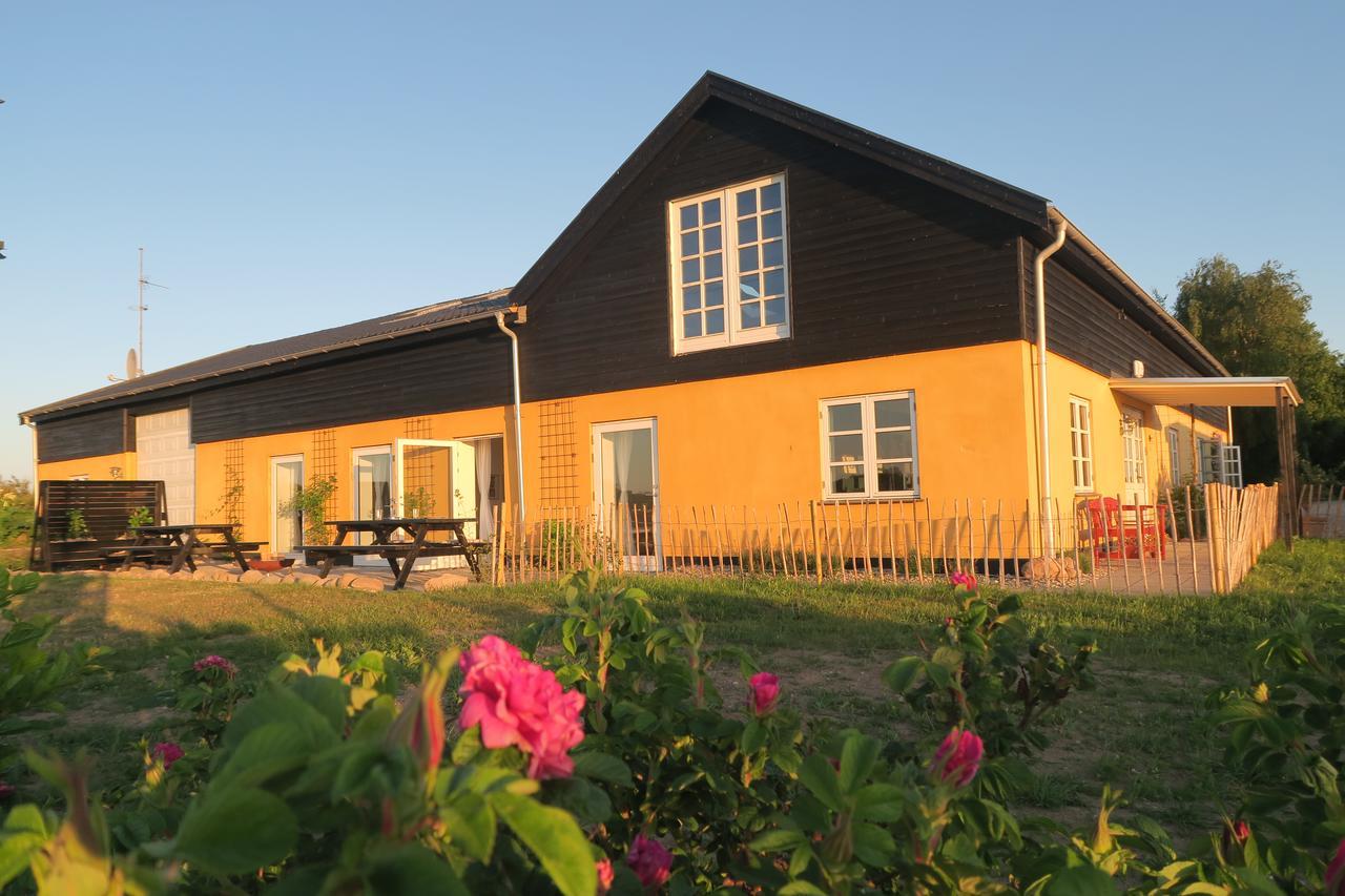 Bed & Breakfast Du Nord Vejby Kültér fotó